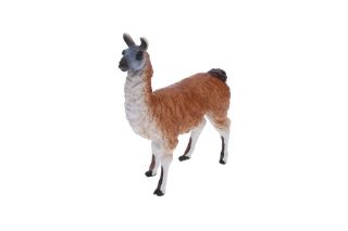 Obrázek z Lama 8,5cm 